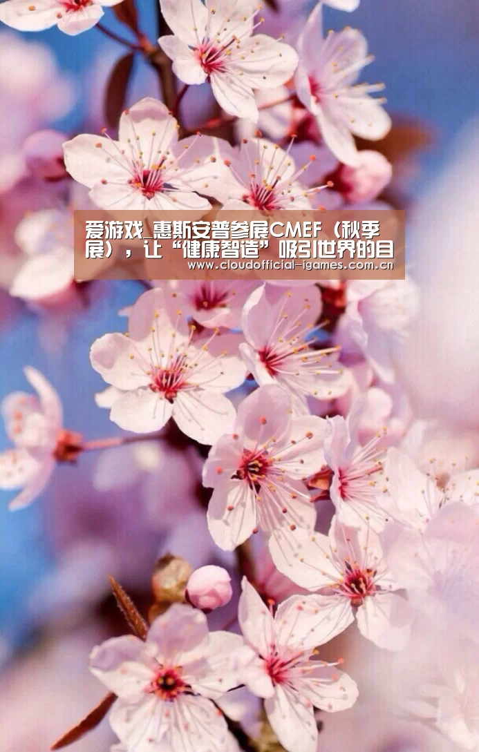 爱游戏