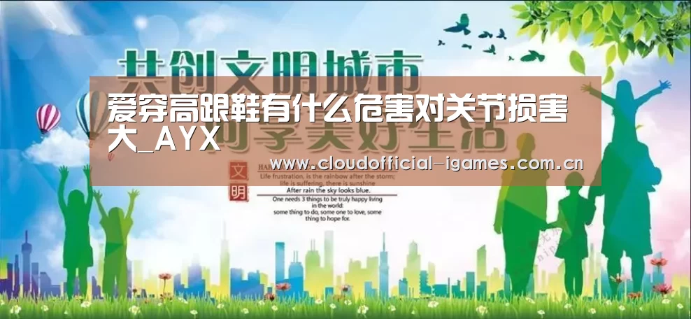 体育手机端APP