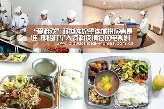 “爱游戏”双世宠妃墨连城扮演者是谁 邢昭林个人资料及演过的电视剧(图3)