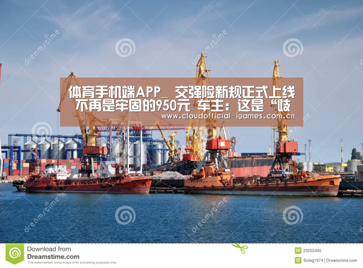 体育手机端APP