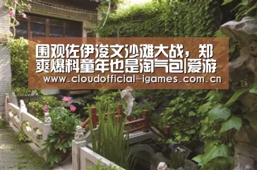 体育手机端APP