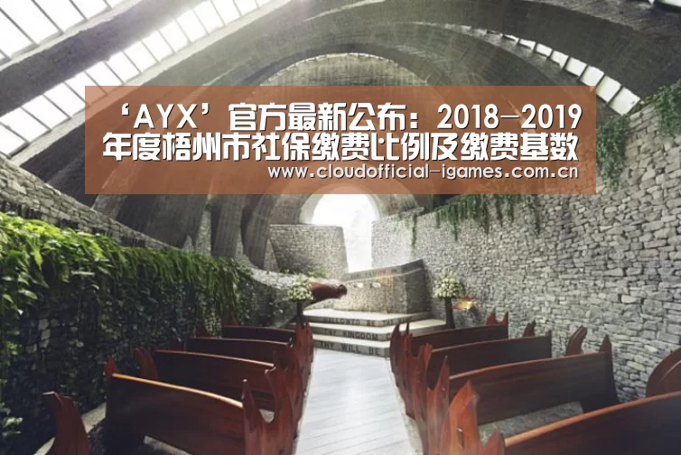 体育手机端APP