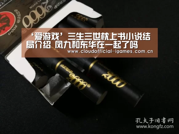 ‘爱游戏’三生三世枕上书小说结局介绍 凤九和东华在一起了吗(图3)