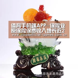 体育手机端APP-保险业原保险保费收入增长近20%(图3) 爱游戏